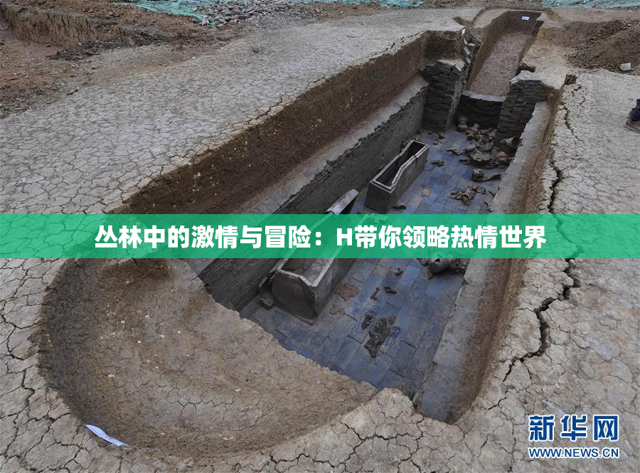 丛林中的激情与冒险：H带你领略热情世界