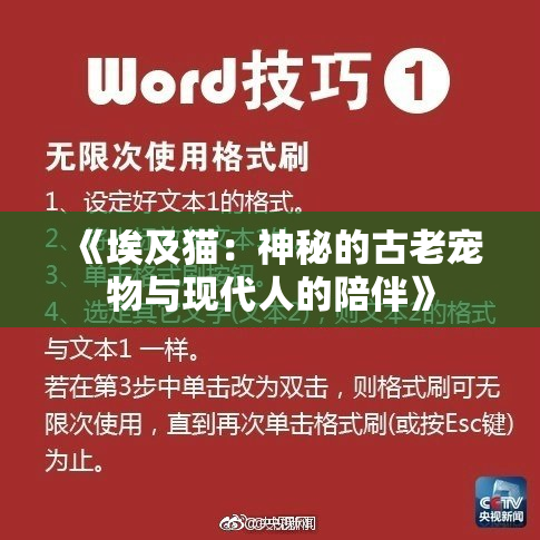 《埃及猫：神秘的古老宠物与现代人的陪伴》