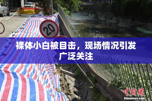 裸体小白被目击，现场情况引发广泛关注