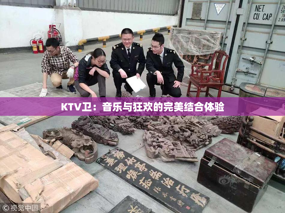 KTV卫：音乐与狂欢的完美结合体验