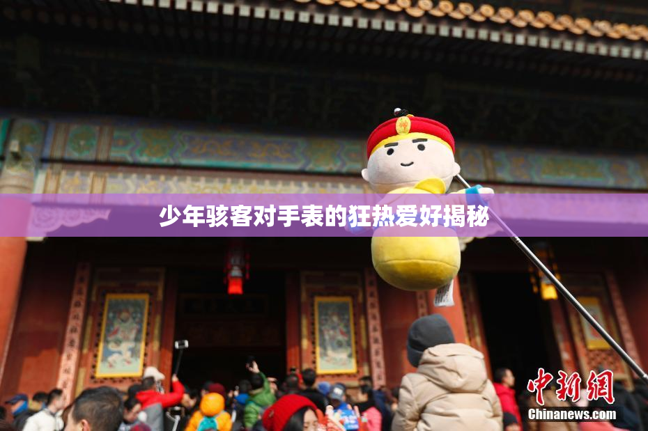 少年骇客对手表的狂热爱好揭秘