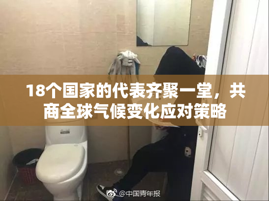 18个国家的代表齐聚一堂，共商全球气候变化应对策略