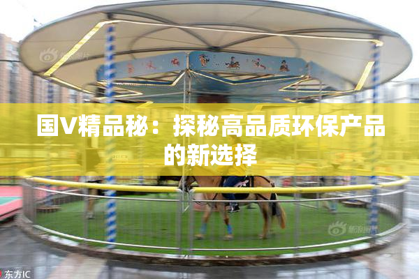 国V精品秘：探秘高品质环保产品的新选择
