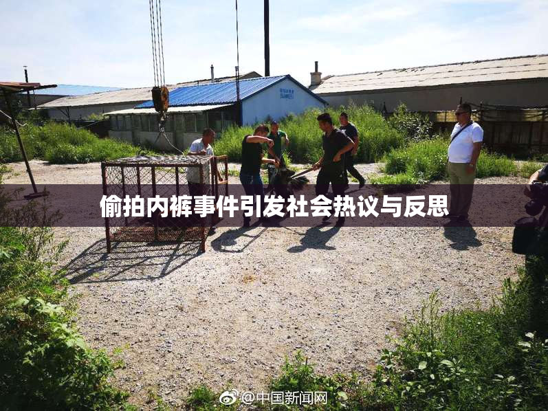 偷拍内裤事件引发社会热议与反思