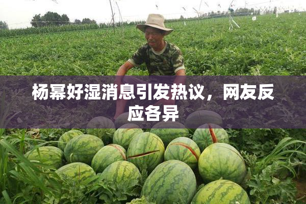 杨幂好湿消息引发热议，网友反应各异