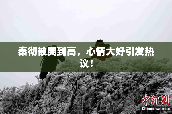 秦彻被爽到高，心情大好引发热议！