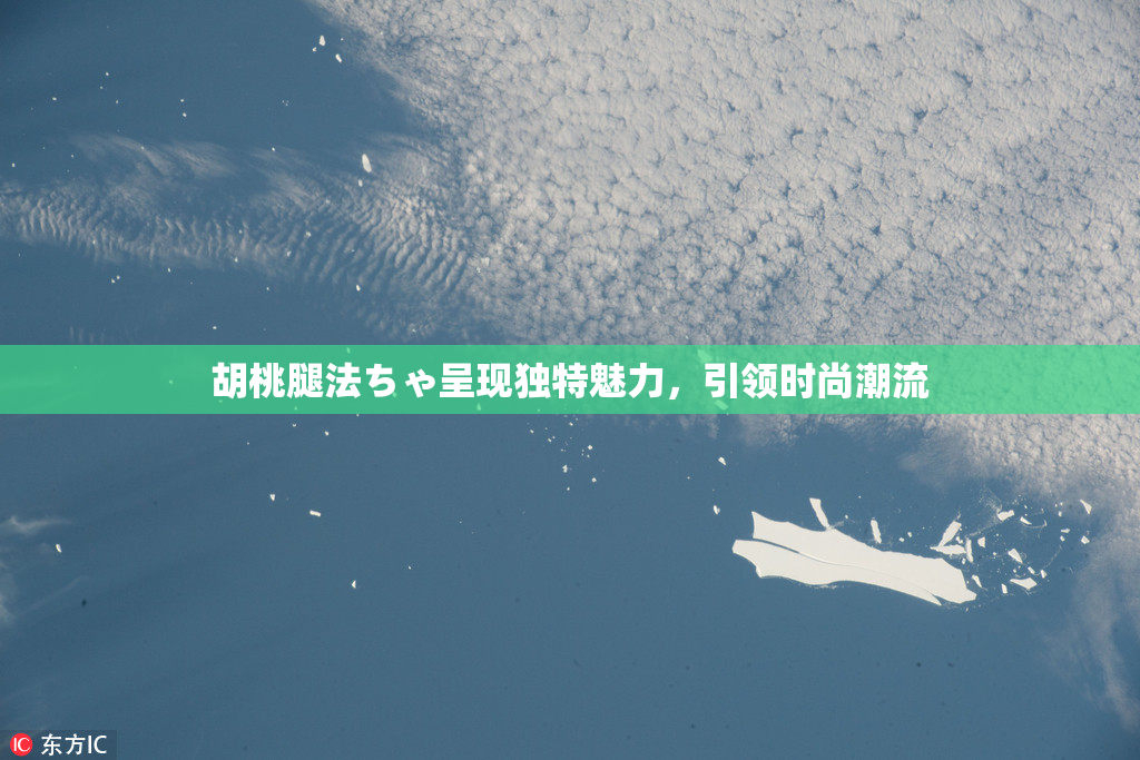 胡桃腿法ちゃ呈现独特魅力，引领时尚潮流
