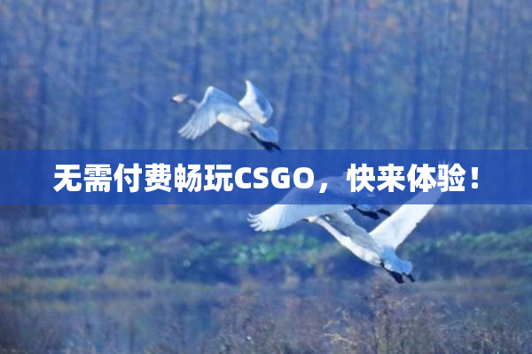 无需付费畅玩CSGO，快来体验！