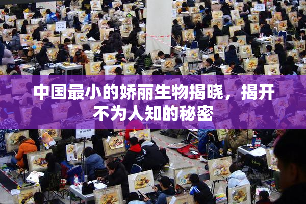 中国最小的娇丽生物揭晓，揭开不为人知的秘密