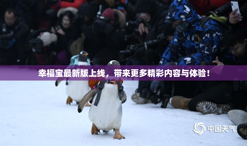 幸福宝最新版上线，带来更多精彩内容与体验！