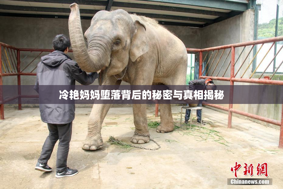 冷艳妈妈堕落背后的秘密与真相揭秘