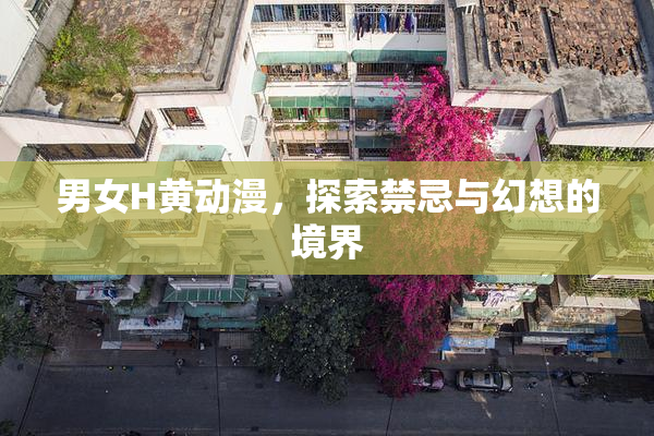 男女H黄动漫，探索禁忌与幻想的境界