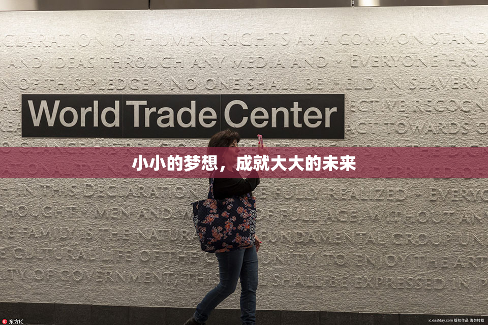 小小的梦想，成就大大的未来