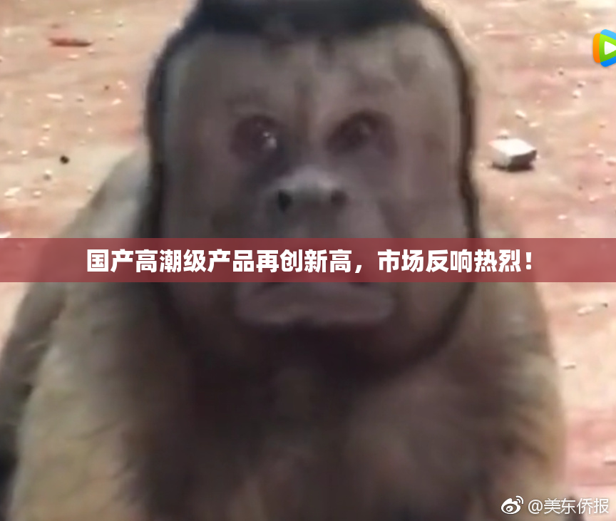 国产高潮级产品再创新高，市场反响热烈！