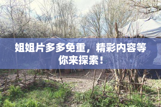 姐姐片多多免重，精彩内容等你来探索！