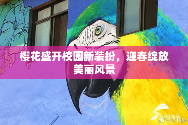 樱花盛开校园新装扮，迎春绽放美丽风景