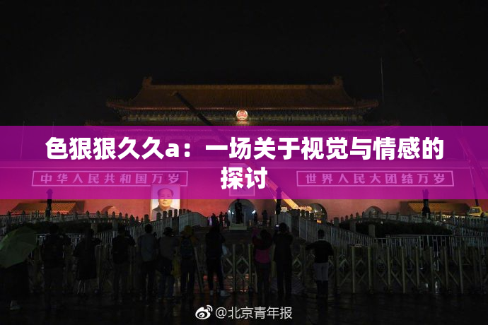 色狠狠久久a：一场关于视觉与情感的探讨