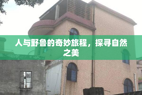 人与野鲁的奇妙旅程，探寻自然之美