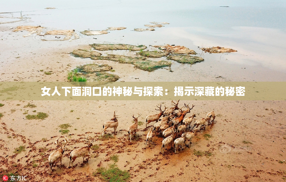 女人下面洞口的神秘与探索：揭示深藏的秘密