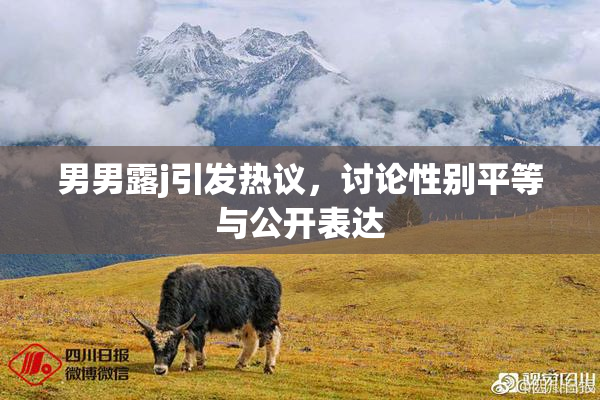 男男露j引发热议，讨论性别平等与公开表达