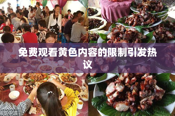 免费观看黄色内容的限制引发热议