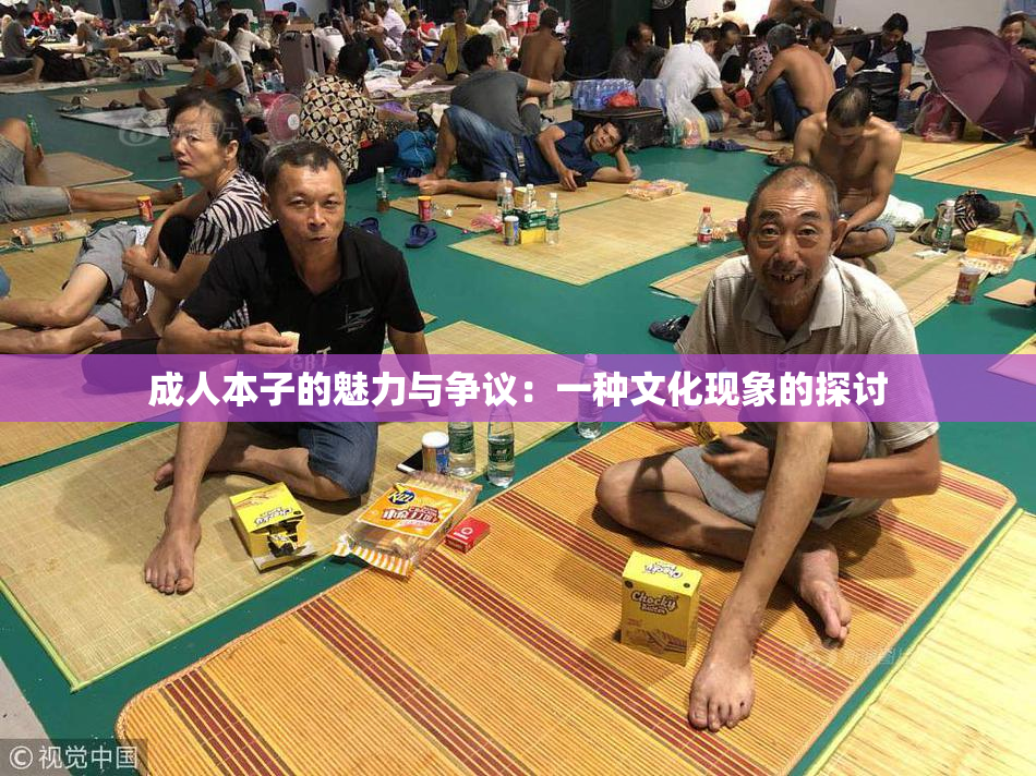 成人本子的魅力与争议：一种文化现象的探讨