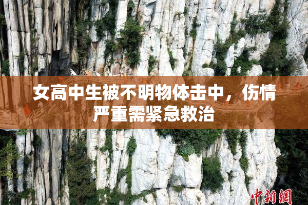 女高中生被不明物体击中，伤情严重需紧急救治