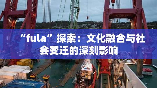 “fula”探索：文化融合与社会变迁的深刻影响