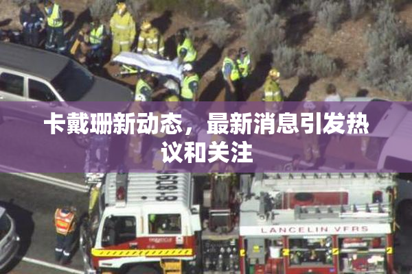 卡戴珊新动态，最新消息引发热议和关注