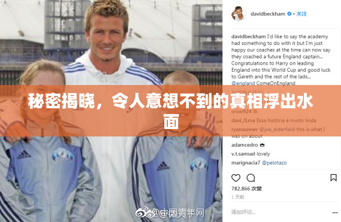 秘密揭晓，令人意想不到的真相浮出水面