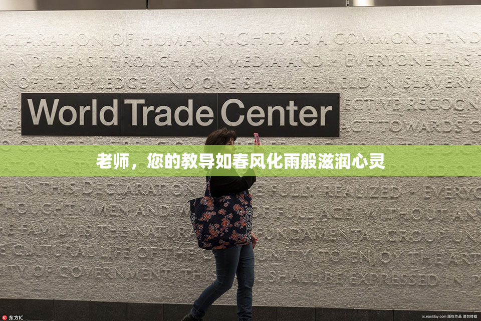 老师，您的教导如春风化雨般滋润心灵