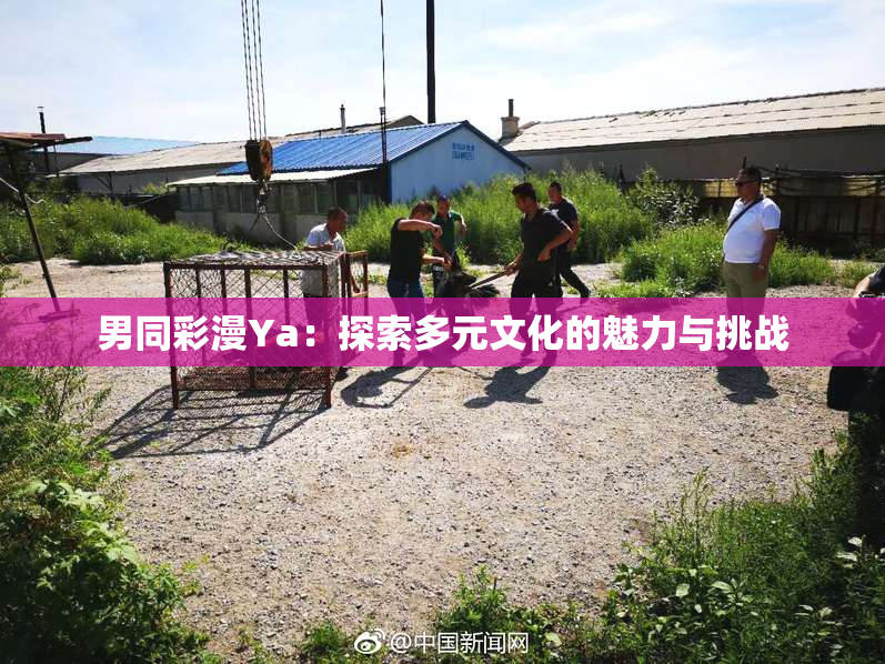 男同彩漫Ya：探索多元文化的魅力与挑战