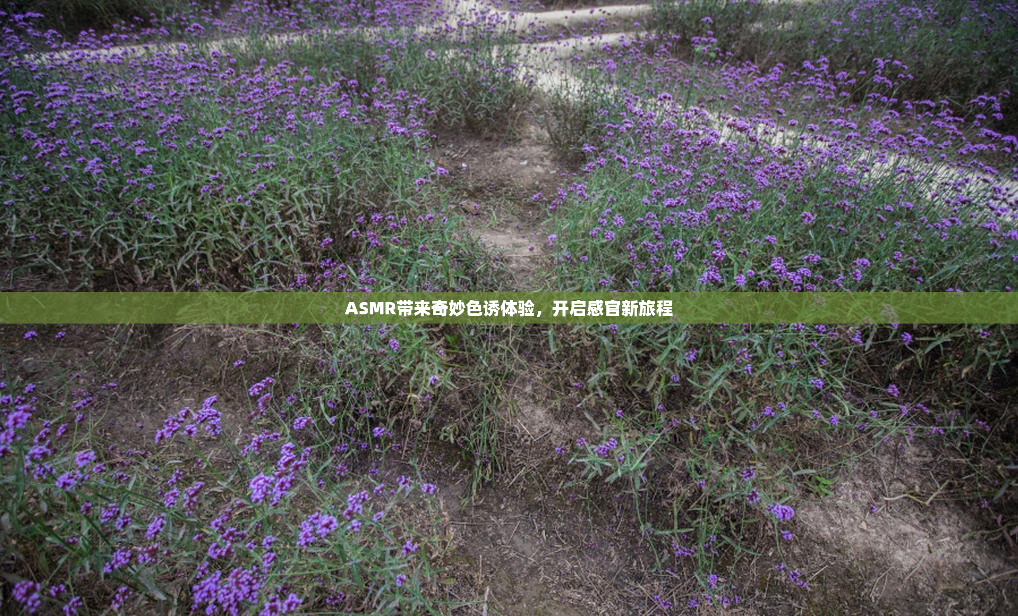 ASMR带来奇妙色诱体验，开启感官新旅程
