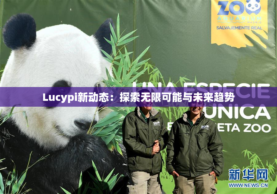 Lucypi新动态：探索无限可能与未来趋势
