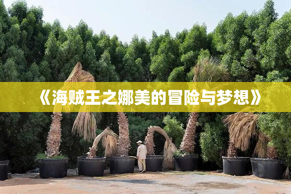 《海贼王之娜美的冒险与梦想》