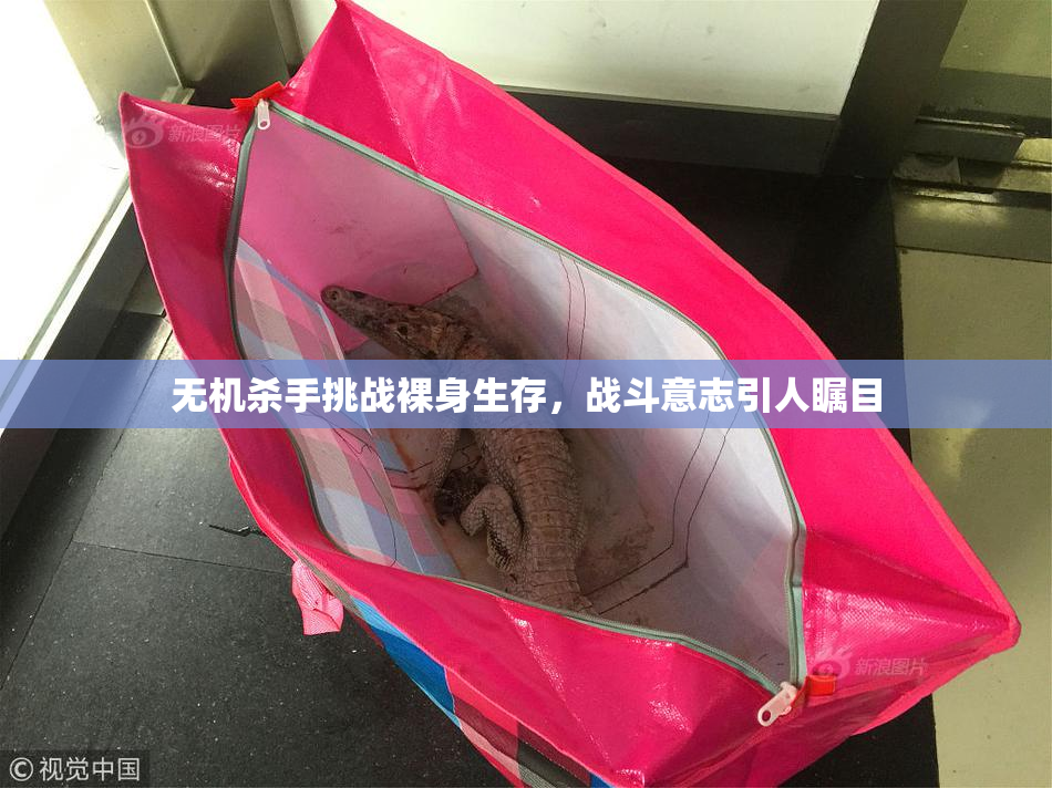 无机杀手挑战裸身生存，战斗意志引人瞩目