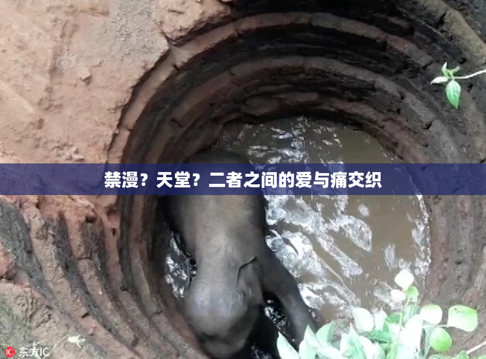 禁漫？天堂？二者之间的爱与痛交织