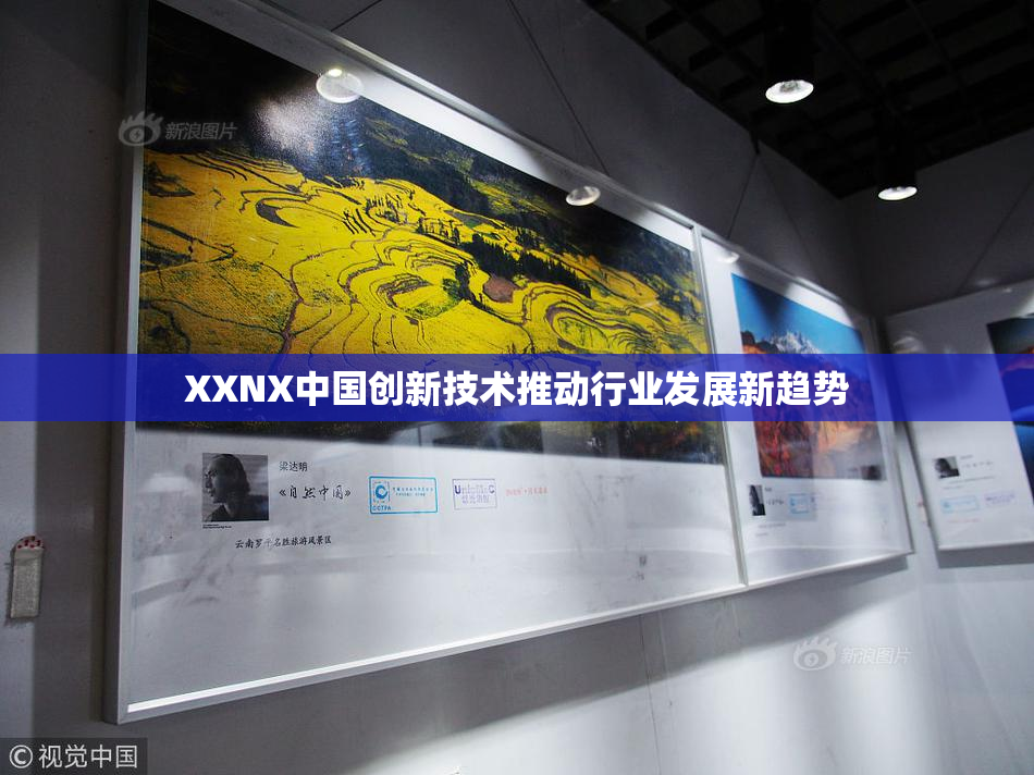 XXNX中国创新技术推动行业发展新趋势