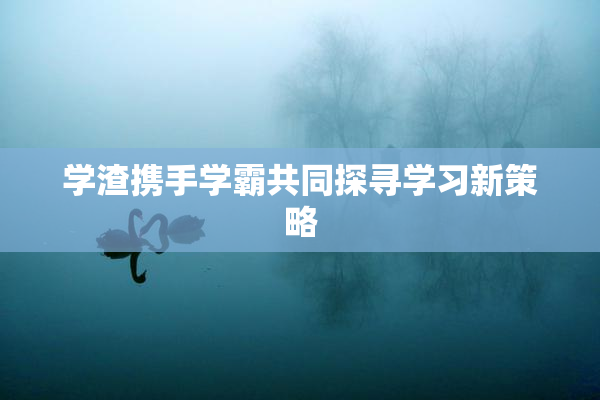 学渣携手学霸共同探寻学习新策略