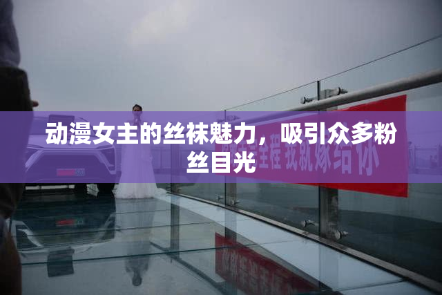 动漫女主的丝袜魅力，吸引众多粉丝目光