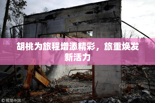 胡桃为旅程增添精彩，旅重焕发新活力