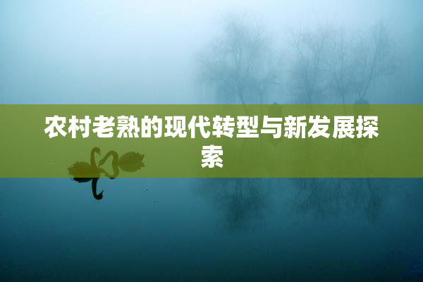 农村老熟的现代转型与新发展探索