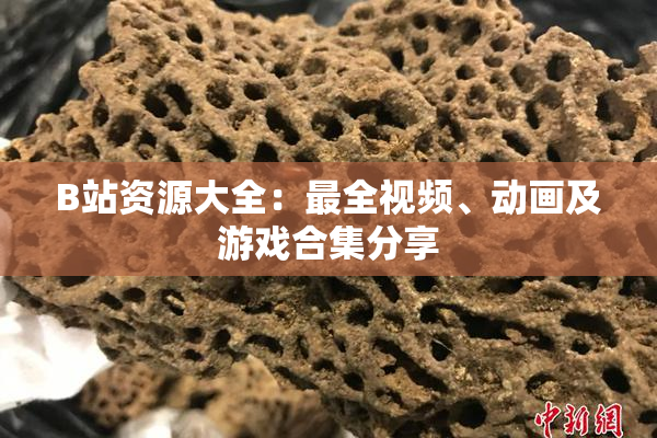 B站资源大全：最全视频、动画及游戏合集分享