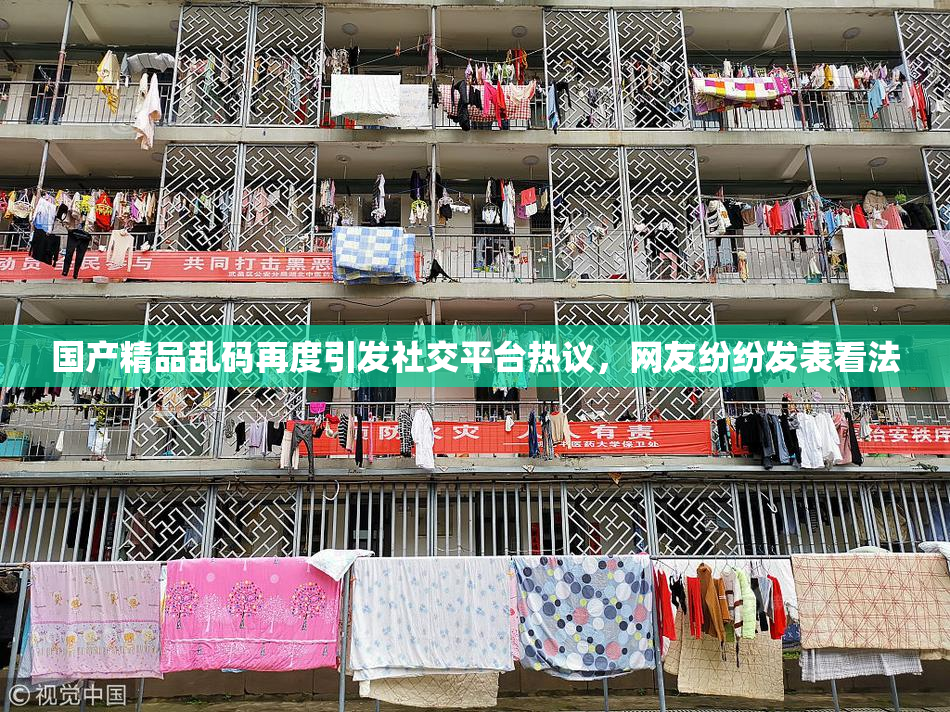 国产精品乱码再度引发社交平台热议，网友纷纷发表看法