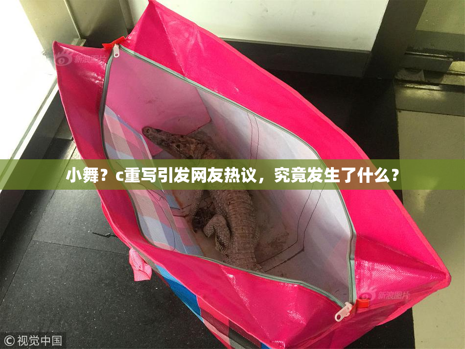 小舞？c重写引发网友热议，究竟发生了什么？
