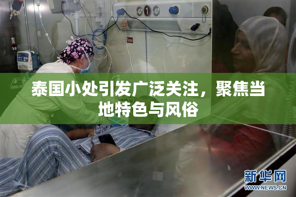 泰国小处引发广泛关注，聚焦当地特色与风俗