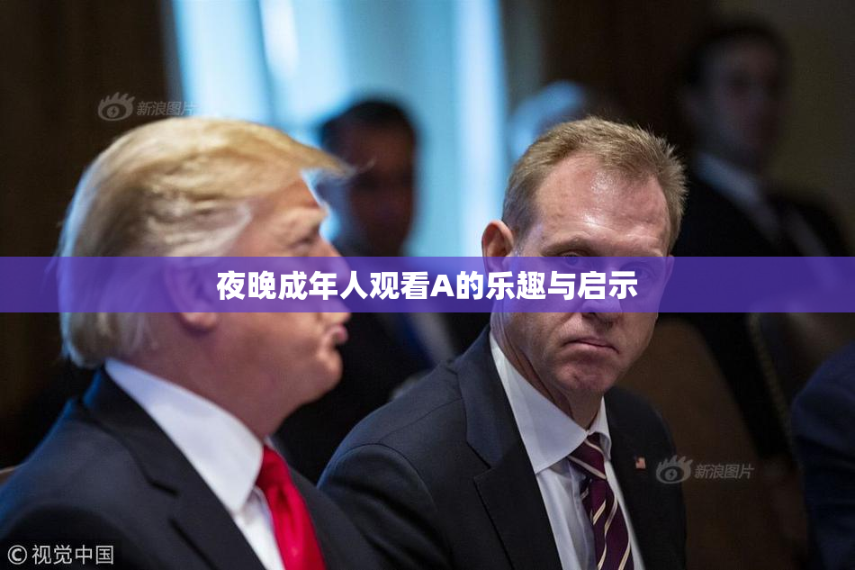 夜晚成年人观看A的乐趣与启示