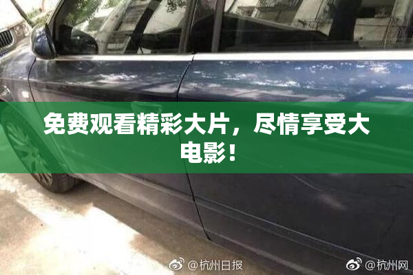 免费观看精彩大片，尽情享受大电影！