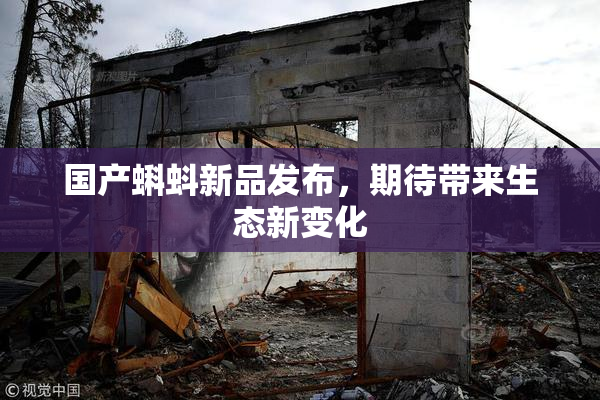 国产蝌蚪新品发布，期待带来生态新变化