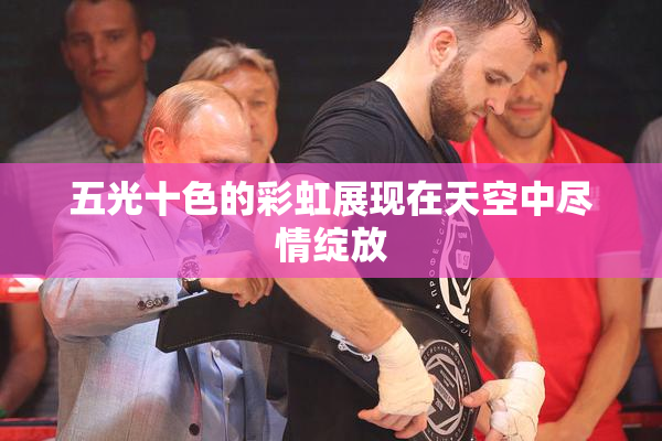 五光十色的彩虹展现在天空中尽情绽放